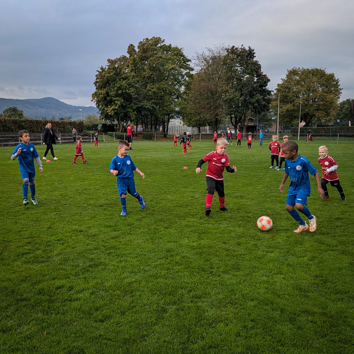 Erfolgreicher Bambinispieltag beim VfR Süßen